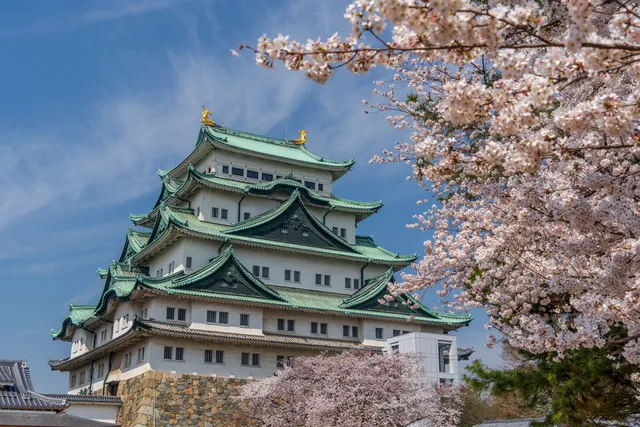 日本の城と桜